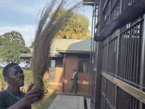 Hay provided daily for bedding and enrichment.