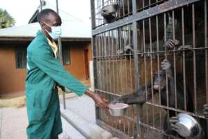 A caregiver, serving evening porridge.