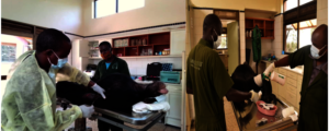 Chimpanzee treatment ongoing