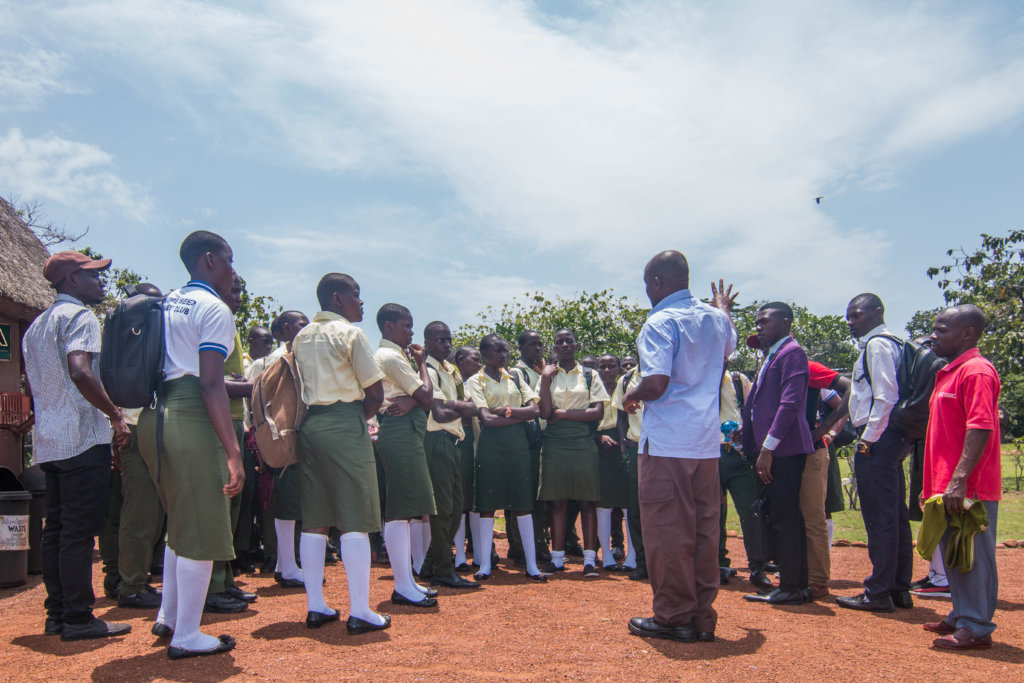 Support  orphaned and wild Chimpanzees in Uganda