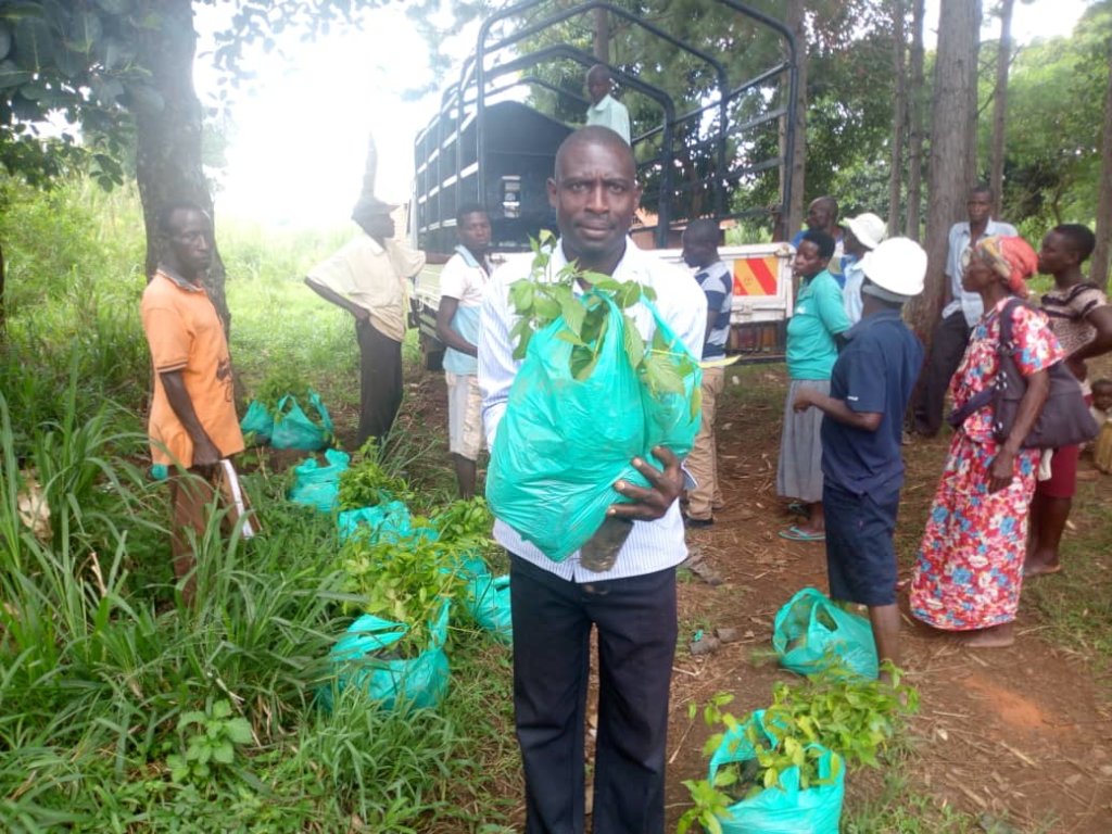 Distributing tree seedlings for forest restoration