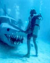 Installing "Sharkplaneo"