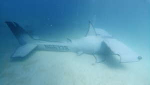 Hammerhead Sharkplaneo