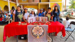 Business model market place - Oct 2025