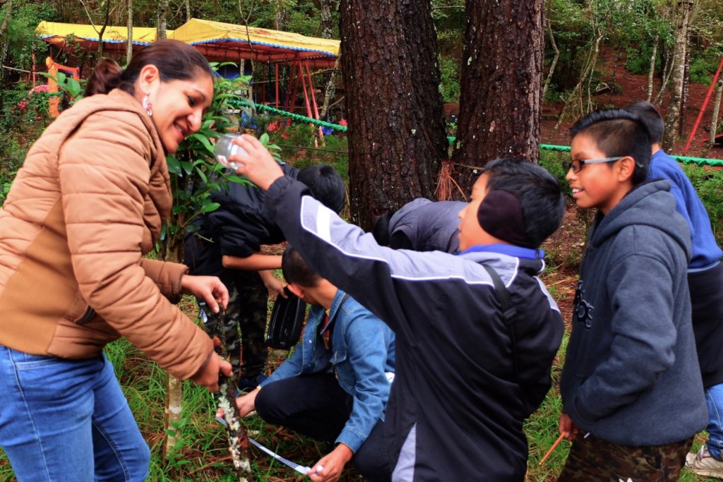 Vocational guidance for children in Mexico