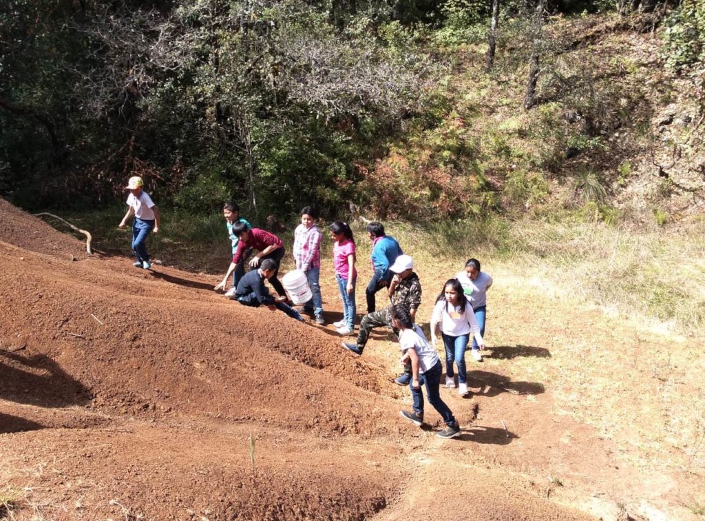 Vocational guidance for children in Mexico