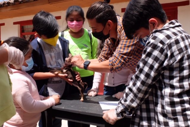 Vocational guidance for children in Mexico