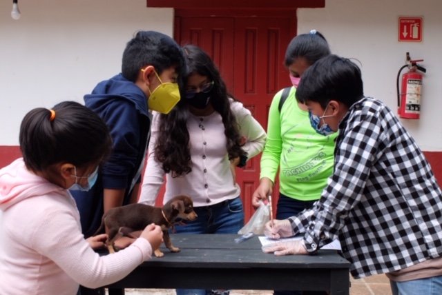 Vocational guidance for children in Mexico