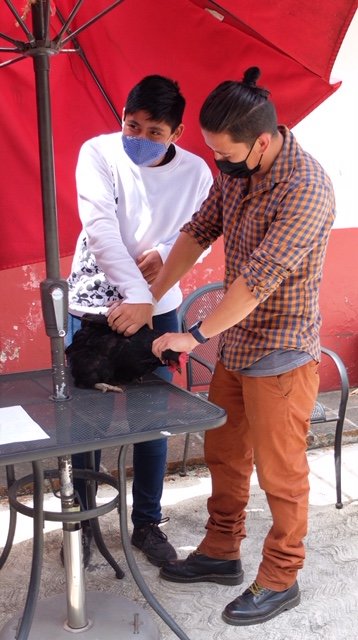 Vocational guidance for children in Mexico