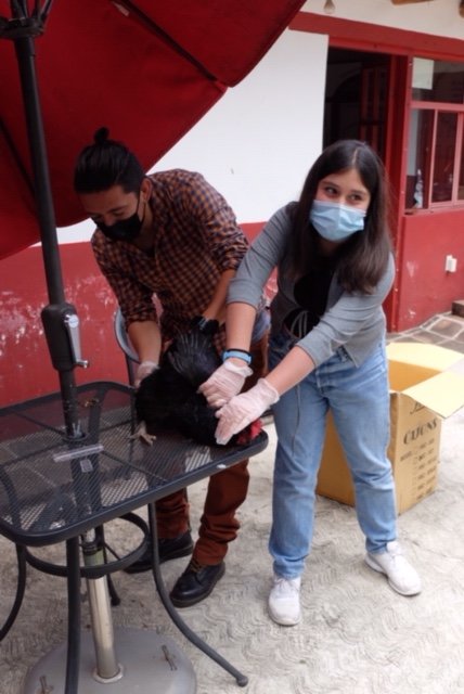 Vocational guidance for children in Mexico