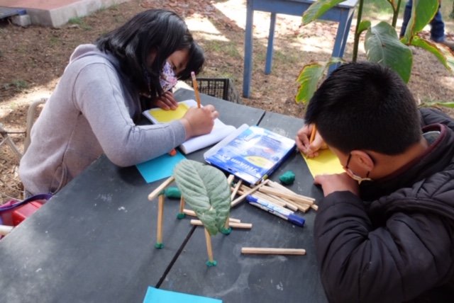 Vocational guidance for children in Mexico