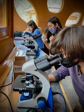 Vocational guidance for children in Mexico