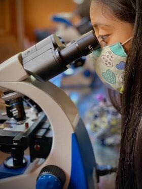 Vocational guidance for children in Mexico