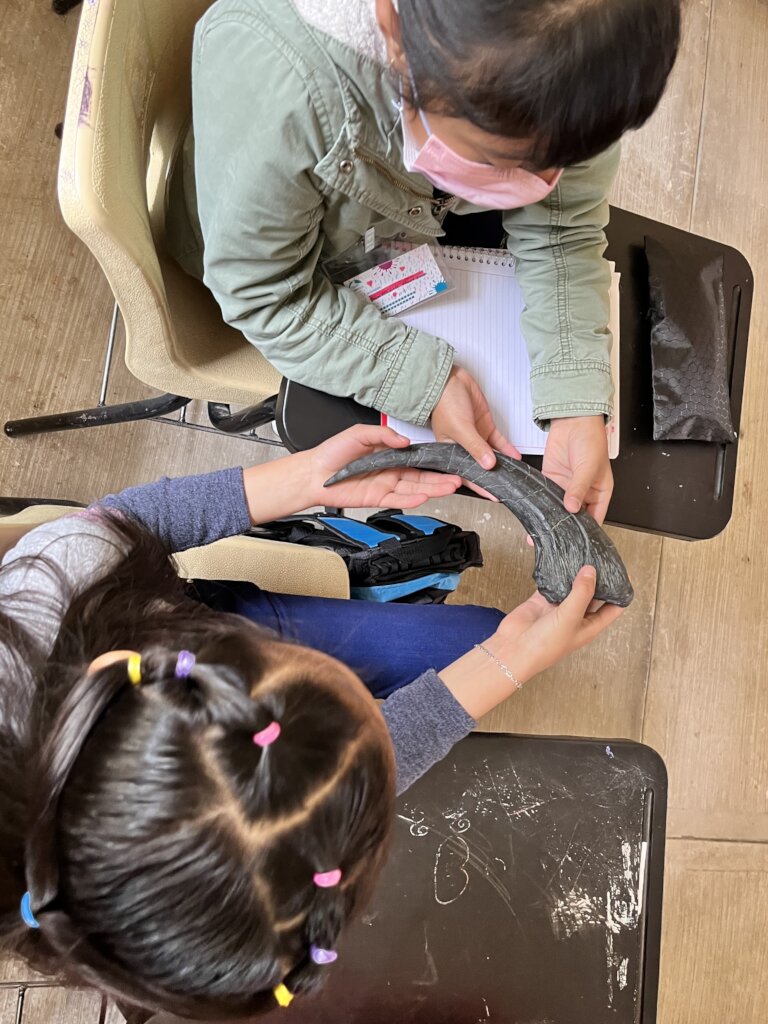 Vocational guidance for children in Mexico