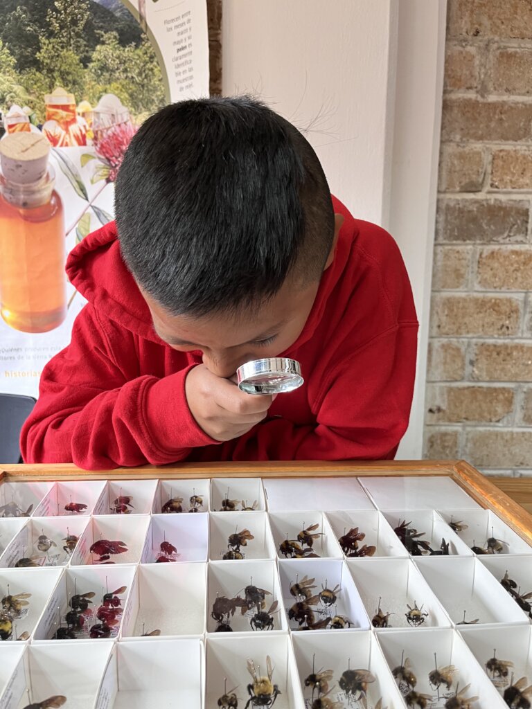 Vocational guidance for children in Mexico