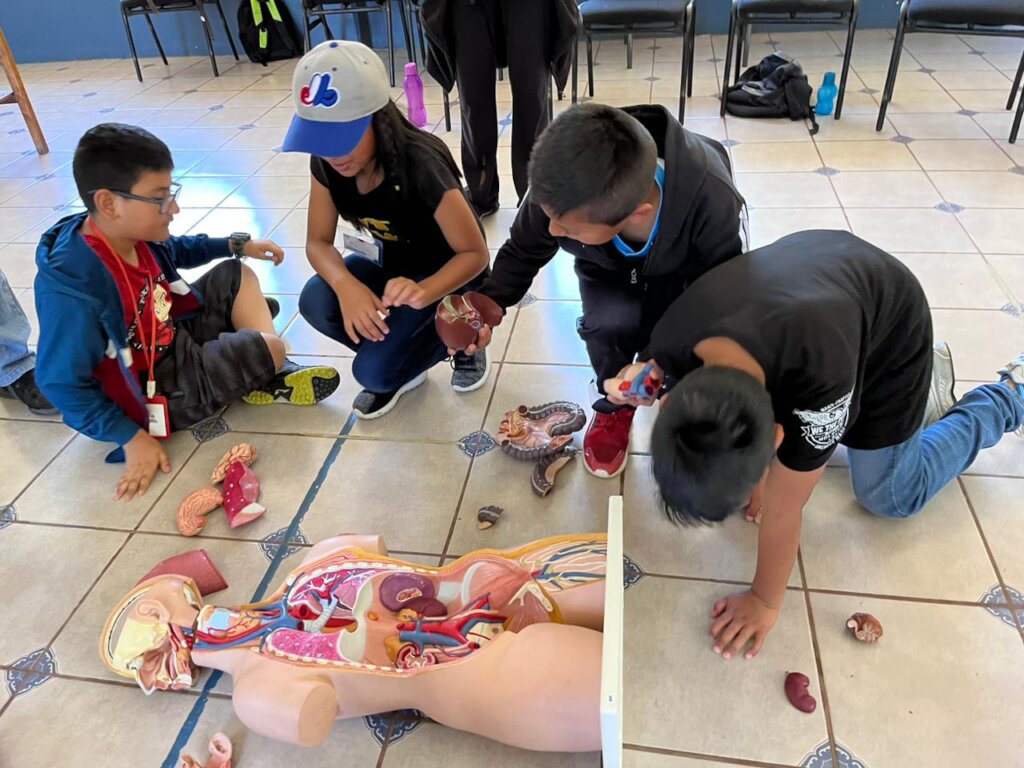 Vocational guidance for children in Mexico