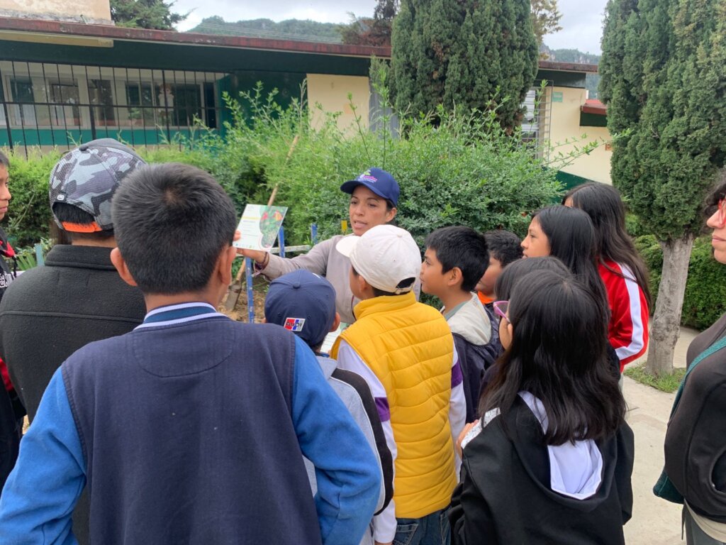 Vocational guidance for children in Mexico