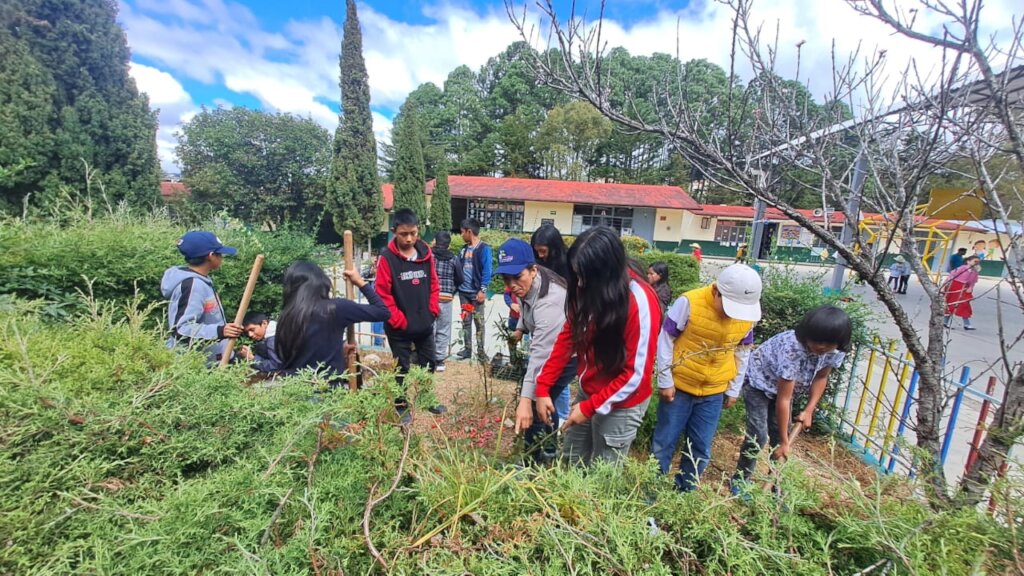 Vocational guidance for children in Mexico
