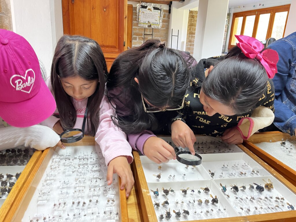 Vocational guidance for children in Mexico