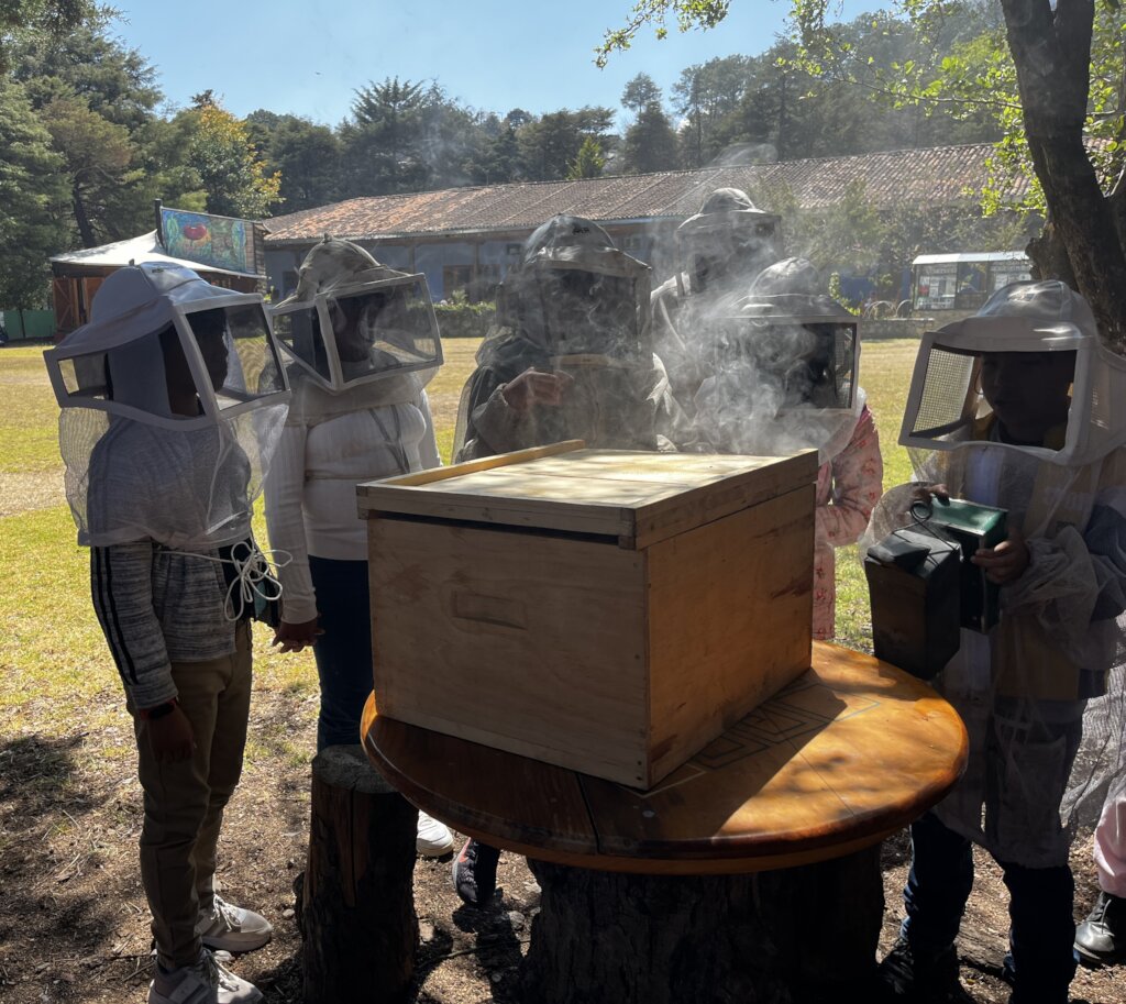 Vocational guidance for children in Mexico