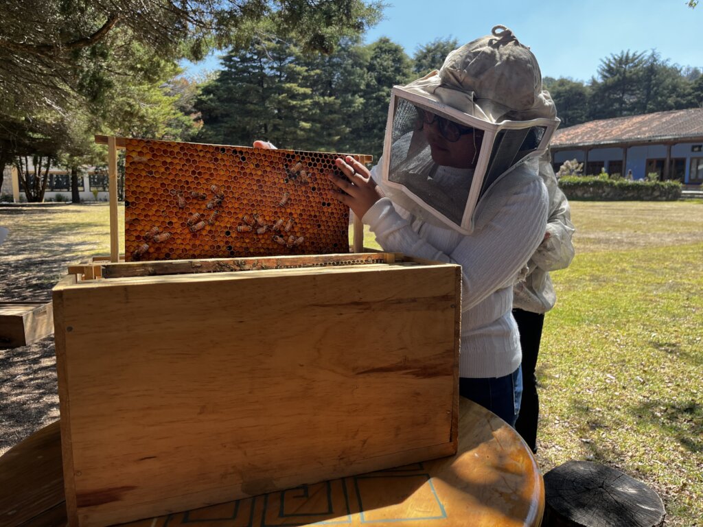 Vocational guidance for children in Mexico