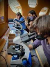 Technology module with Cantaro Azul