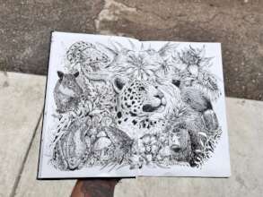 Module Arts, Scientific Illustration