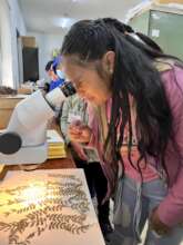 Module Science Laboratory bees& herbarium
