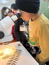 Module Science Laboratory bees& herbarium