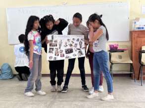 Module Gender Chiapas