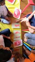 Fysiotherapie Module Integral health Oaxaca