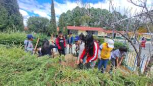 Module Environmental Care Chiapas