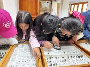 Students at the bee laboratory in ECOSUR San Cris