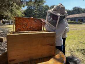 Enviromental care module at ECOSUR bee laboratory