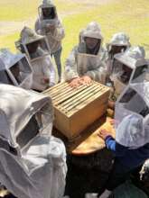 Enviromental care module at ECOSUR bee laboratory