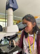 Enviromental care module at ECOSUR bee laboratory