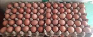 Stack of egg trays being sold at farm food shop