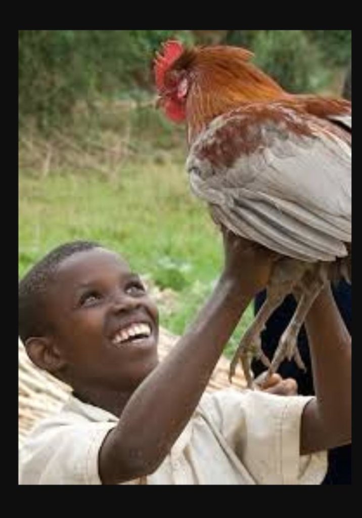 COVID-19: Help produce local protective facemasks