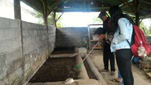 Black soldier fly breeding facility