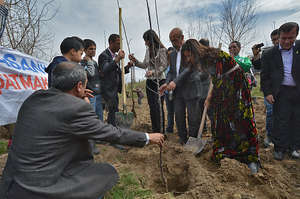 Tree-planting in protest at the Ilisu dam