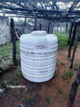 Water Tank Protected from Elephants
