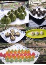 Modak orders