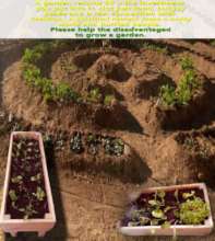 Survival gardens for Zim's COVID-19 fight