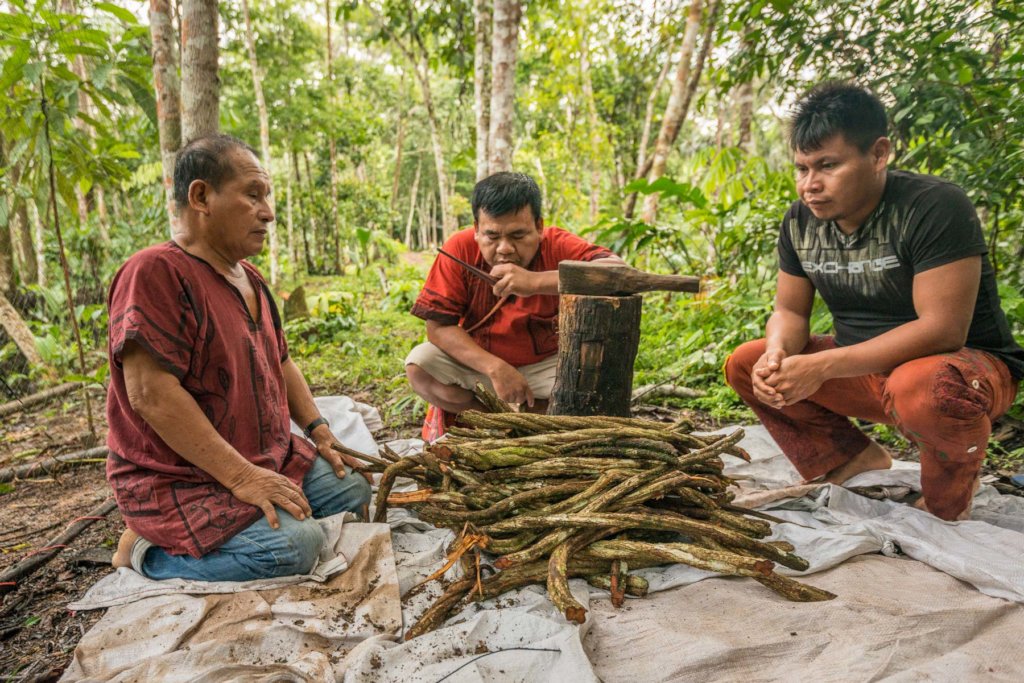 Emergency Fund for Shipibo Healers & Local Workers