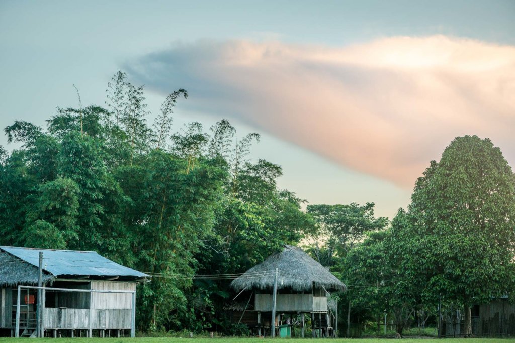 Emergency Fund for Shipibo Healers & Local Workers