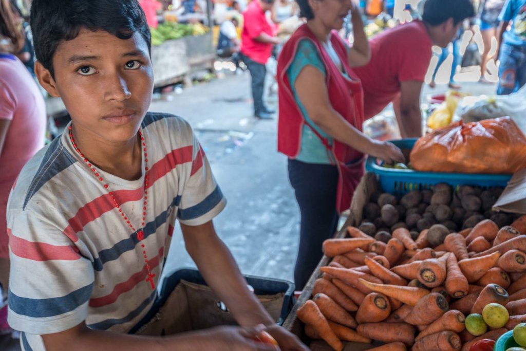 Emergency Fund for Shipibo Healers & Local Workers