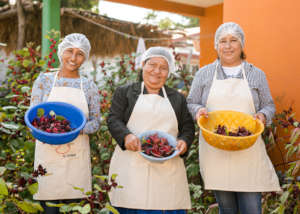 Fruit- making cooperatives