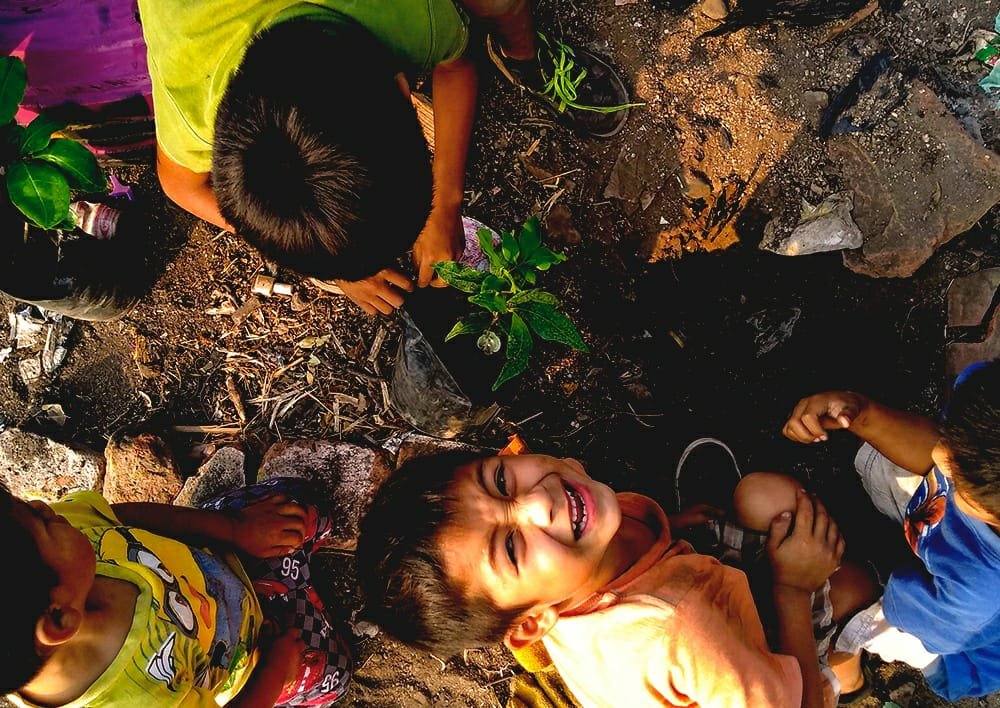 Covid-19|Education raises indigenous women income