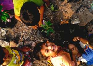 Lupe smiling, while his brothers plant trees