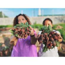 Women community gardens